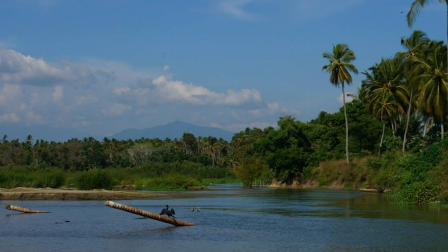 laguna Coyuca panorama