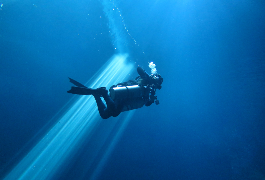 49D12DC3-625F-4E46-8EEA-1918E6771B7D