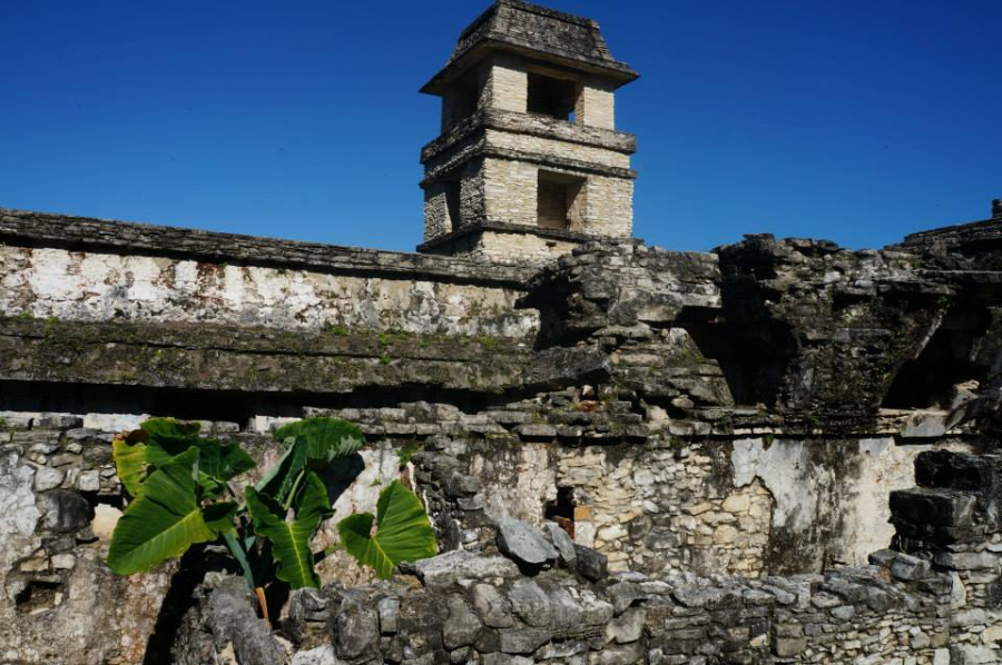 Palenque Pałac