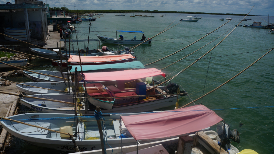 DSC05154