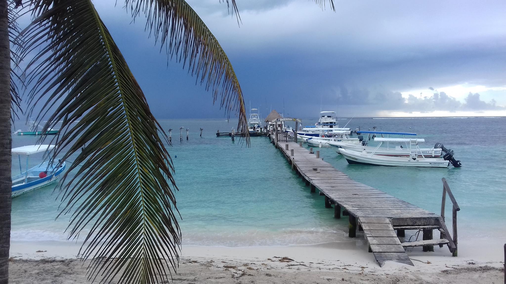 15895836_10206080259365482_2641738654018095589_o