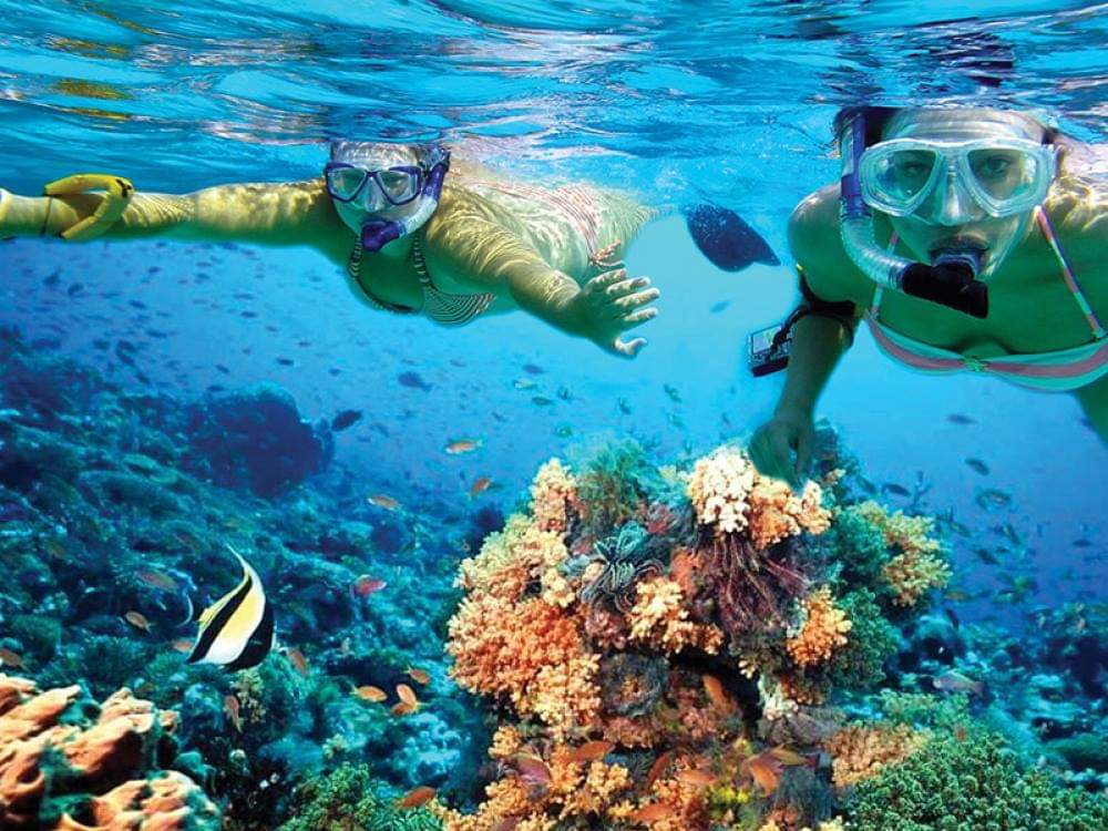 katamaran snorkeling