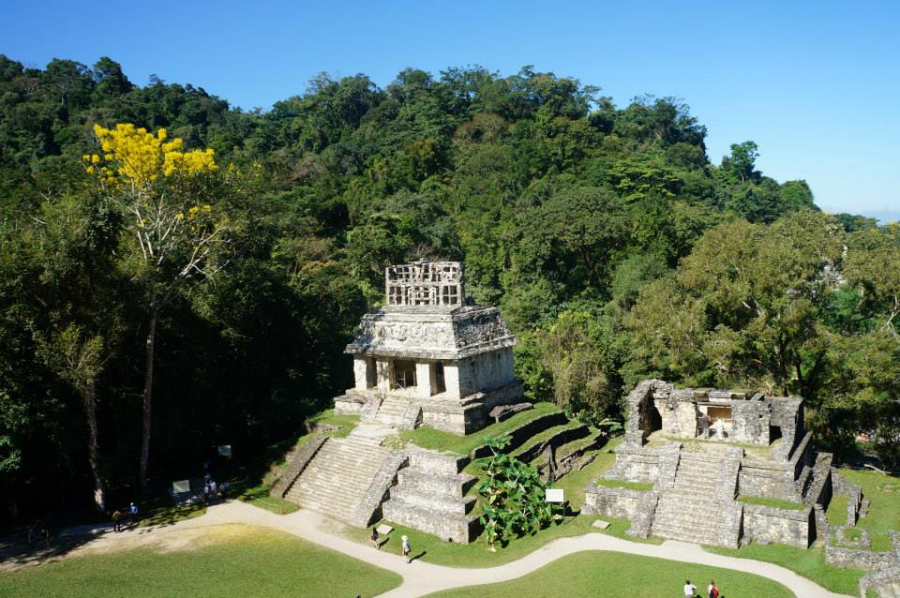 palenque wiosną