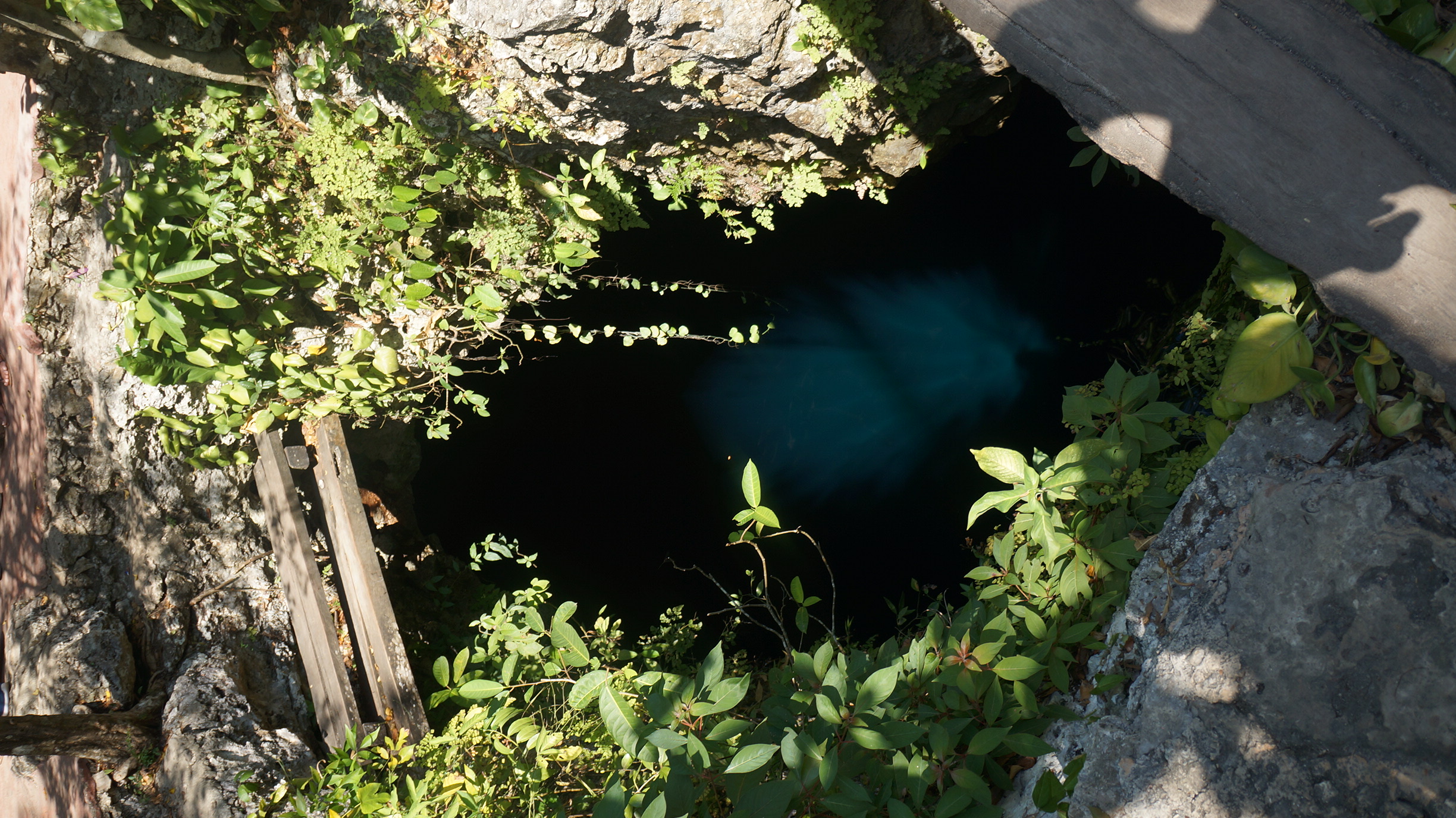 cenote kin ha 3
