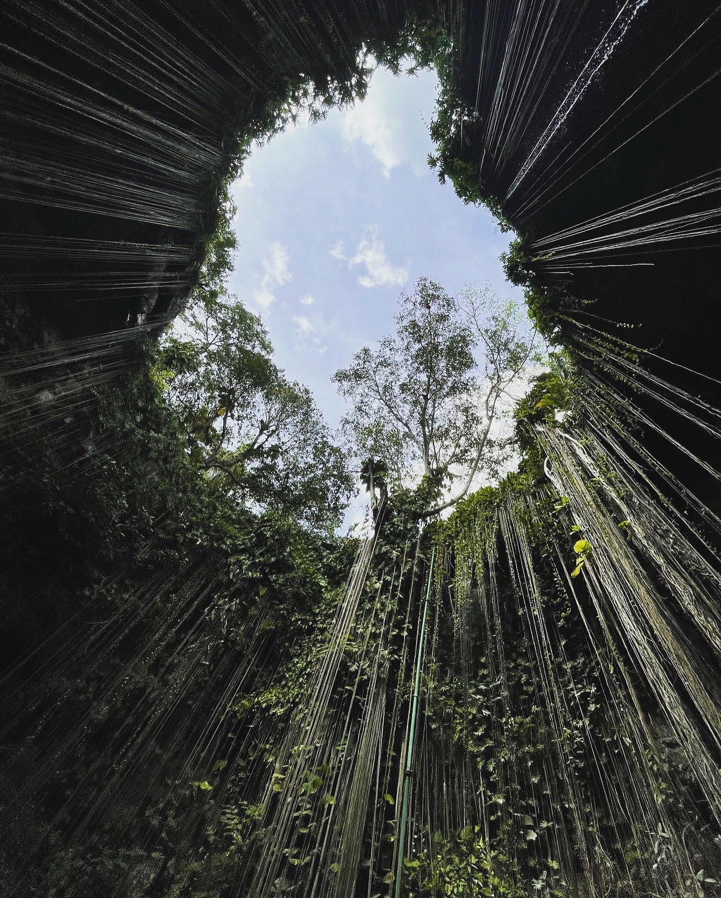 0AD0BF4F-1AE0-44A0-AAE3-BEDFF0BB9448