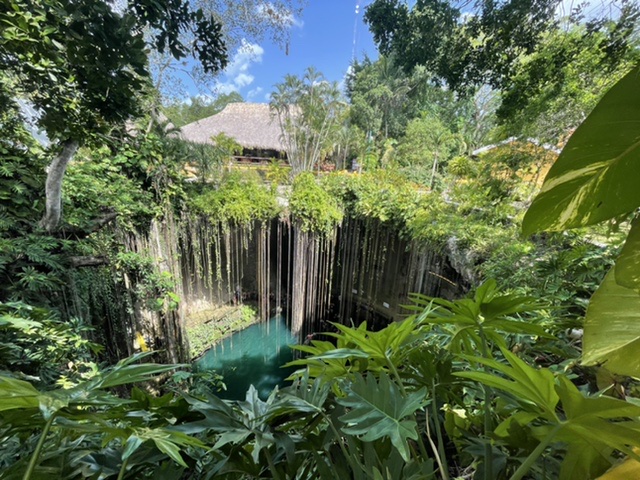 AC24F768-301E-488B-BF4D-E7B8A0639116